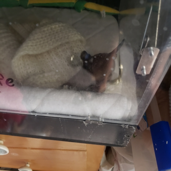 Priceless Package - Picture 11 of 12